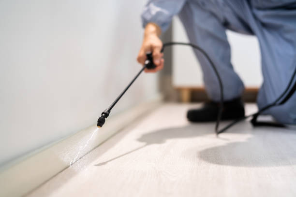 Certified termite inspector examining foundation in Villa Ridge