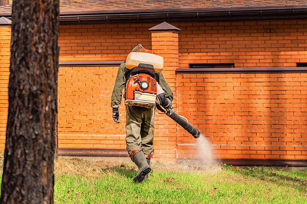 Top rated local Wasp Removal specialists in Villa Ridge, MO